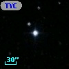 TYC 1775-1325-1