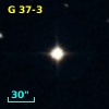G  37-3