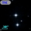 TYC 1772-669-1