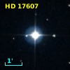 HD  17607