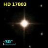 HD  17803