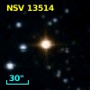 NSV 13514