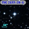 TYC 2177-29-1