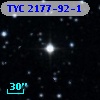 TYC 2177-92-1