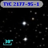 TYC 2177-95-1