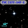 TYC 2177-147-1