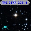 TYC 2177-223-1