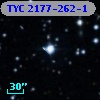 TYC 2177-262-1