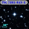 TYC 2181-813-1