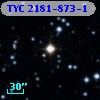 TYC 2181-873-1