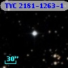 TYC 2181-1263-1