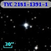 TYC 2181-1391-1