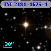 TYC 2181-1675-1
