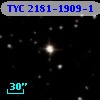 TYC 2181-1909-1