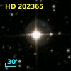 HD 202365