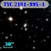 TYC 2181-995-1