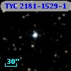 TYC 2181-1529-1