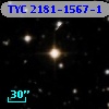 TYC 2181-1567-1