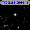 TYC 2181-2091-1