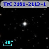 TYC 2181-2113-1