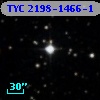 TYC 2198-1466-1