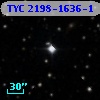 TYC 2198-1636-1