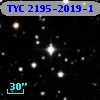 TYC 2195-2019-1