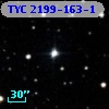 TYC 2199-163-1