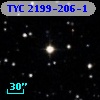 TYC 2199-206-1