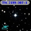TYC 2199-307-1