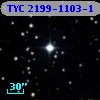TYC 2199-1103-1