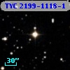 TYC 2199-1118-1