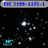TYC 2199-1175-1