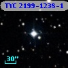 TYC 2199-1238-1