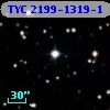 TYC 2199-1319-1