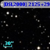 [DSL2000] 2125+290