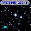 TYC 3145-202-1