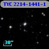 TYC 2214-1441-1
