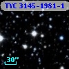 TYC 3145-1981-1