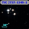 TYC 2737-1349-1
