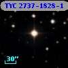 TYC 2737-1828-1