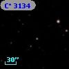 C* 3134