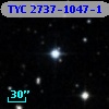 TYC 2737-1047-1