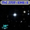 TYC 2737-1341-1