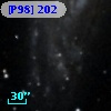 [P98] 202