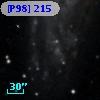 [P98] 215