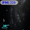 [P98] 223