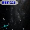 [P98] 225