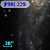 [P98] 229