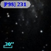 [P98] 231